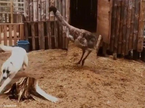 ���ߥ塼�ȸ�02