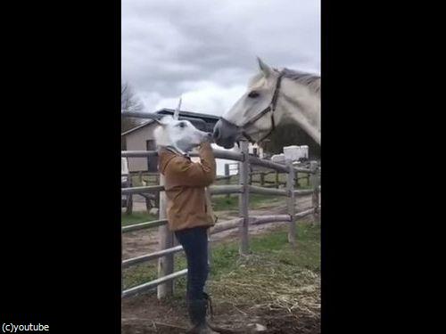 �ϤΥޥ�����Ȥä��Ȥ����ϤΥꥢ�������02