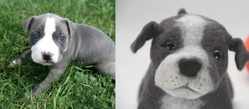 犬そっくりのぬいぐるみ16