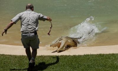 釣られるワニ09