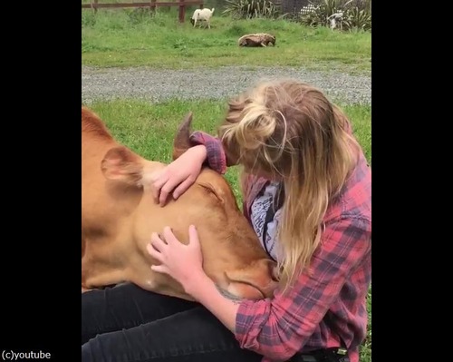 ���Ȥ��Ф���03