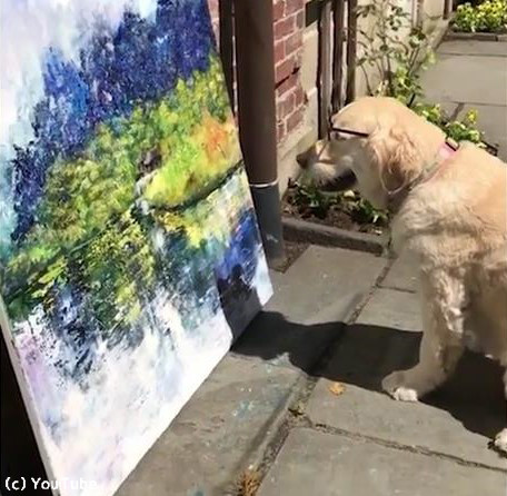 うちの犬は美術評論家01