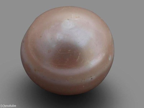 世界最古の真珠01