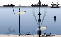 ����ή�л��� 80