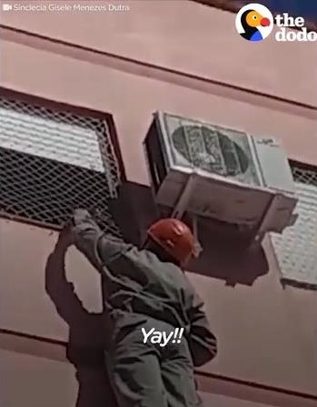 �ӥ�4����ư���ʤ��ʤä�ǭ��߽�04