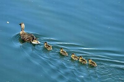 �ޥ���οƻ�13