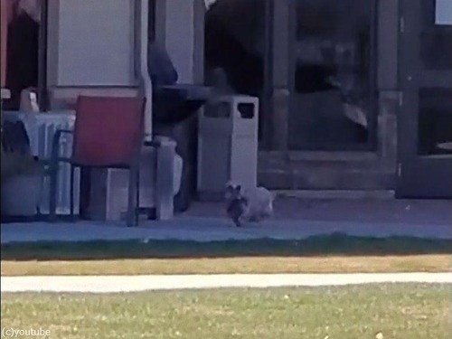 �إ饸����Ω������������02