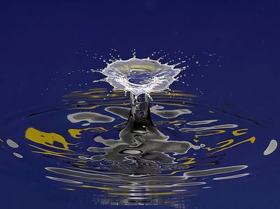 night splash