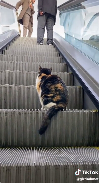 ǭ���������졼�������ꤳ�ʤ�03