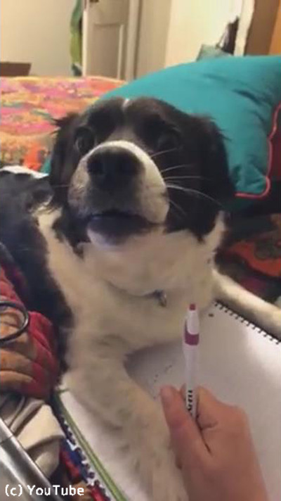 ���ֽ���ʤ�Ƥ����㤪�����02