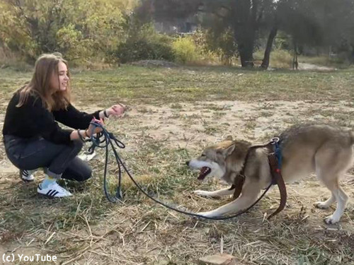 �ڥåȥ������ߤȤγڤ�����������00