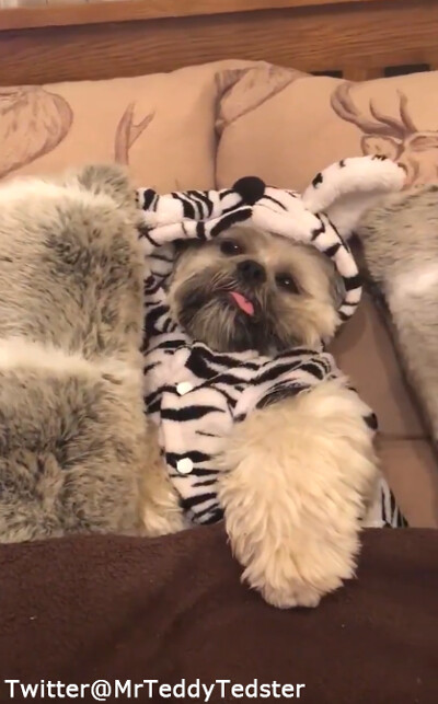 ǯ��ǯ�Ϥβᤴ�����ä����Τ���ʴ��������03