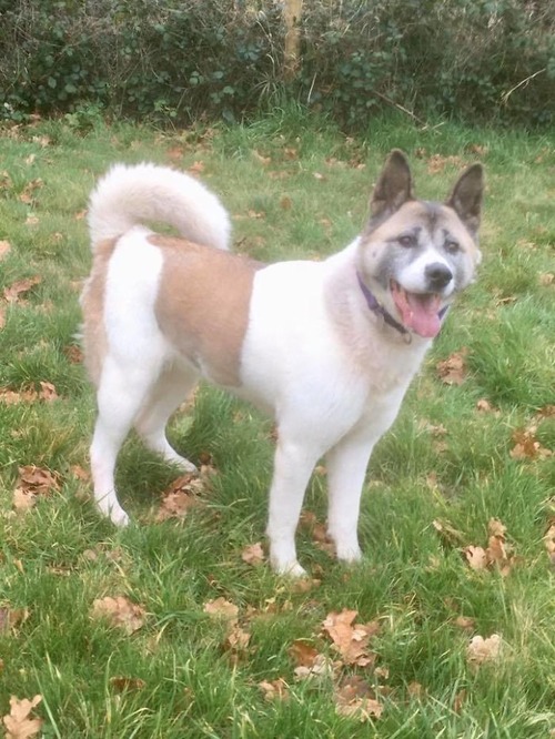 ���������θ�04