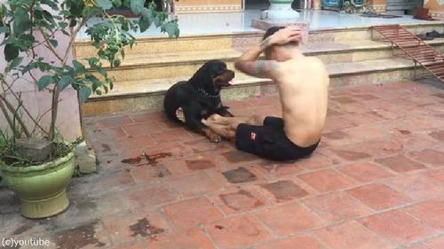 �����θ��ϡĶڥȥ�Τ��������򤷤Ƥ����03