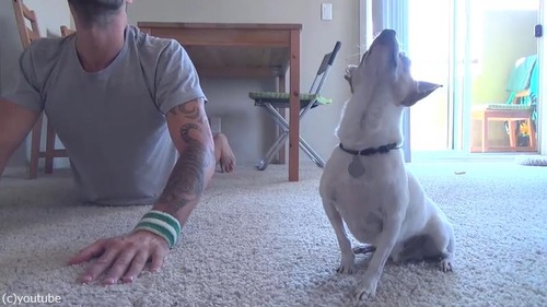 �����Ȱ��˥襬05