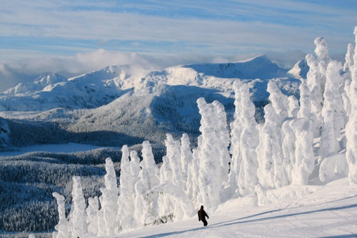 ワシントン山の街灯08