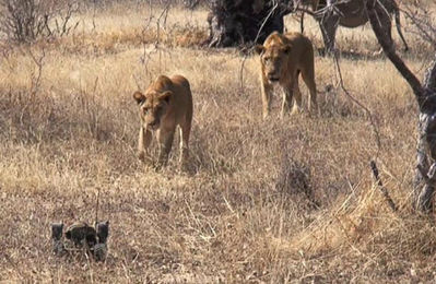 �ӡ��ȥ륫���02