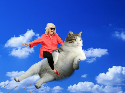 余裕のある猫02