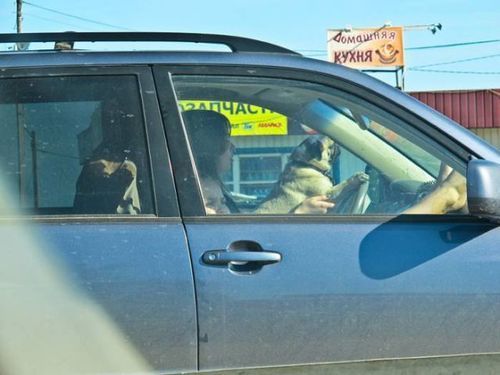 �ʹ֤�̵��04