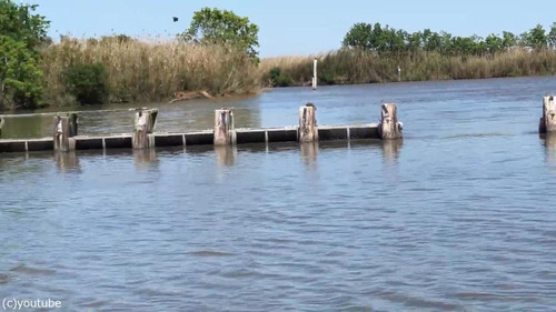 �ܥ֥���åȤβ���ʥ�����04