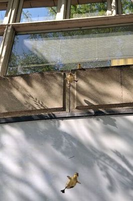 �ޥ���οƻ�08