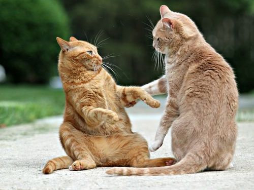 00�ͤɤ������餤���Ρ�