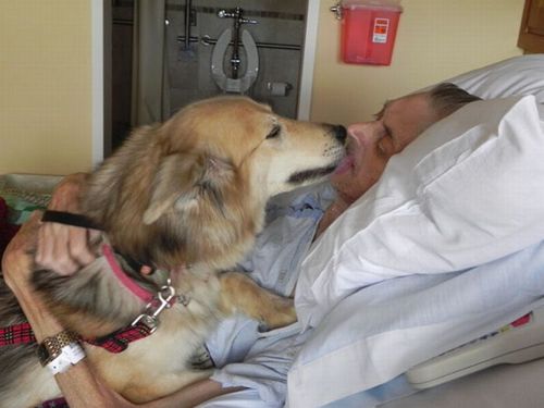 最後は愛犬と17