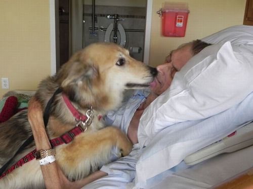 最後は愛犬と16