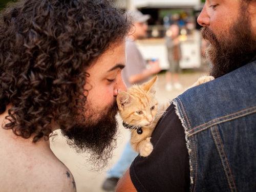 バイク乗りと子猫07