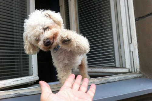 �������Ф�14