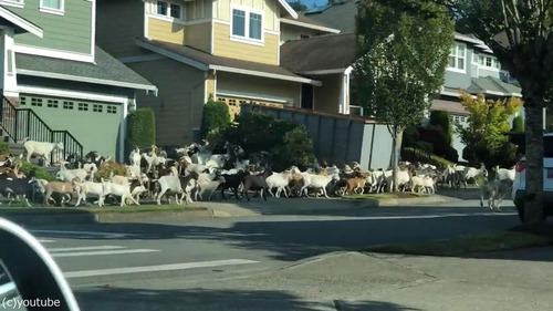 �����Ϥǥ䥮����æ�������02