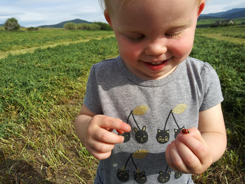 1�������뤯����ϥåԡ�01