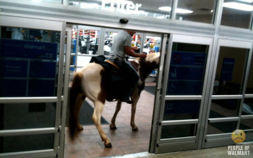 さすがにウソって言って…