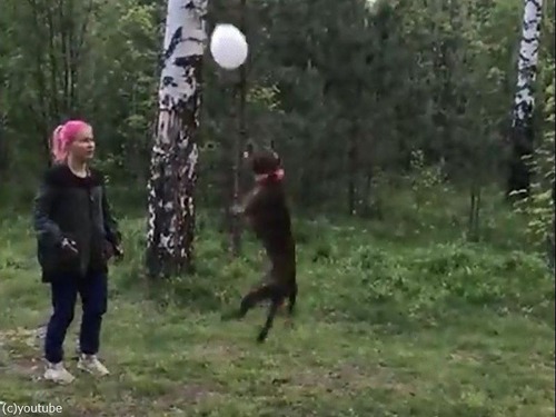 �����ȥ������ʸ�03