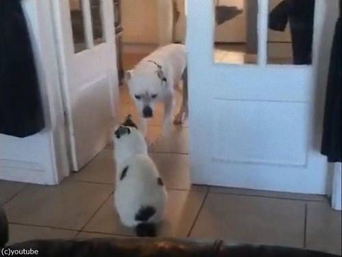 ǭ���ݤ����̤�ʤ���01