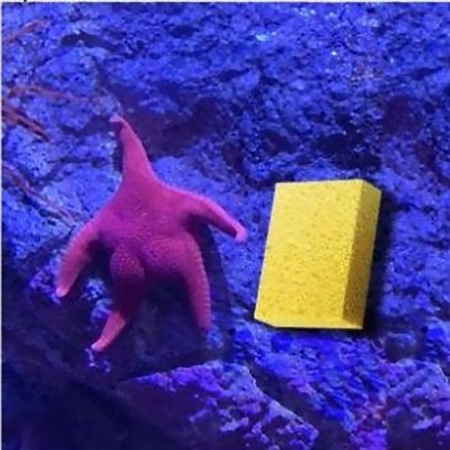 �ѥȥ�å���������07