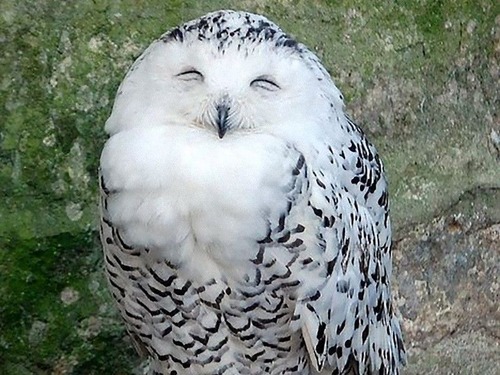 �ե�������­07