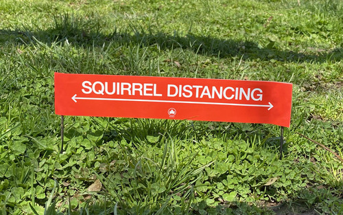 �ꥹ�ѥ��������ǥ�������02