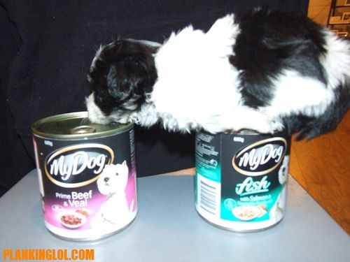 ���ʼ�ĥ��02