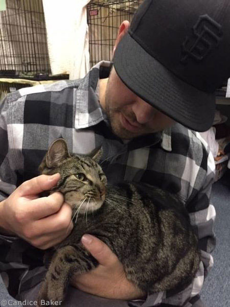 4歳児と2匹の猫が再会03