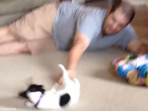 パパと子犬の戦い02