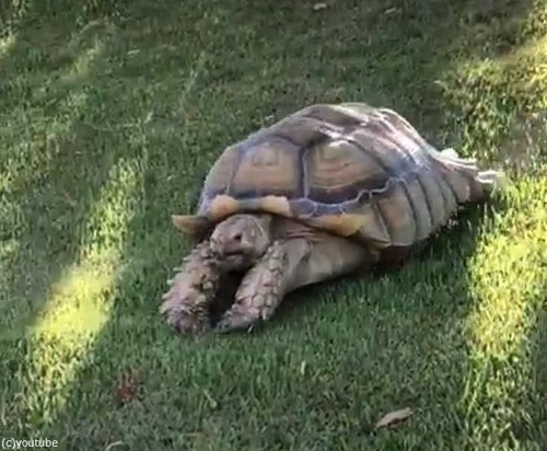 ���Υ����ѡ��ޥ�04