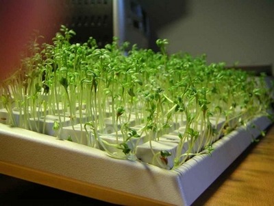 オフィスジョーク13