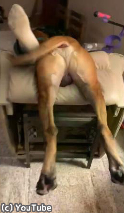 �����礵��ؤΰ����Ų᤮��Ȥ�02