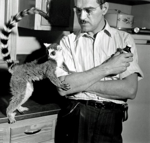 「K」で始まるエキゾチックなペットの名前