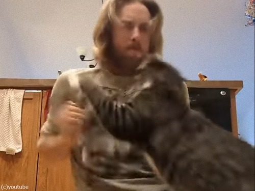 男性がネコパンチに手の平で対抗したら…猫が完勝する（動画）