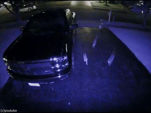 夜中のガレージで猫の集会01