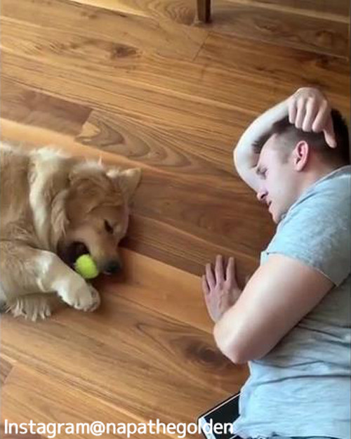 ����ʤˤ�뵤�Τʤ�����å��ܡ��븫�����Ȥʤ��ʾС�02