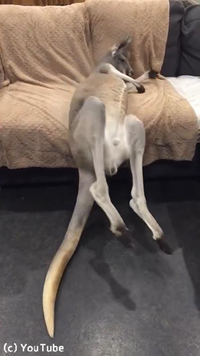 もっと大きなベッドを用意してあげて02