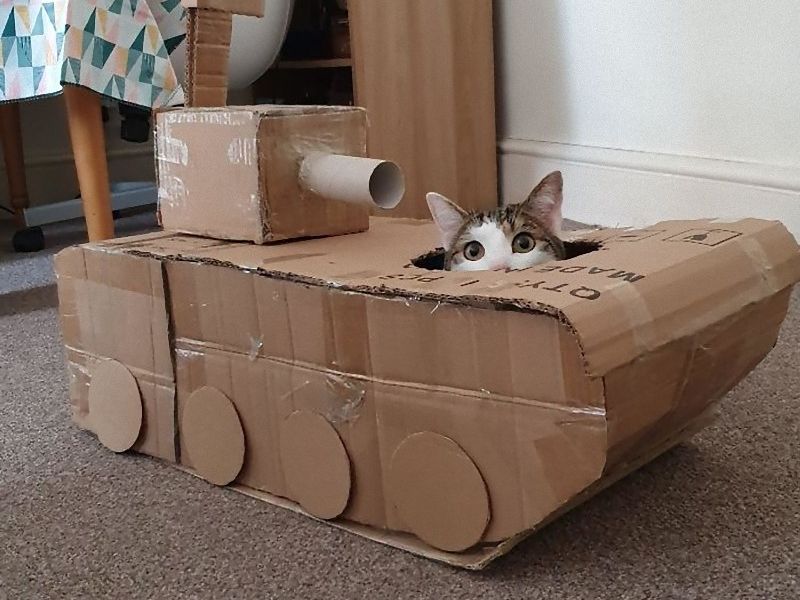自宅で暇なので 猫用のダンボール戦車を作る人が続出している らばq